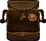 Reflect Dragon's Leather