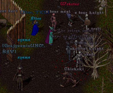 Brigand Camp