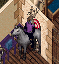 GiGa on horse back.