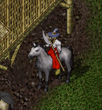 ViVa pointed her bardiche.